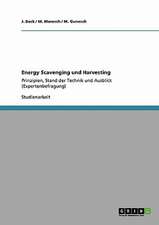 Energy Scavenging und Harvesting