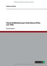 Chinas Erdölsicherung in Sub-Sahara Afrika seit 1995