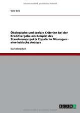 Ökologische und soziale Kriterien bei der Kreditvergabe am Beispiel des Staudammprojekts Copalar in Nicaragua - eine kritische Analyse