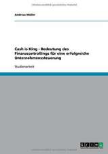 Cash is King - Bedeutung des Finanzcontrollings für eine erfolgreiche Unternehmenssteuerung