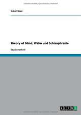 Theory of Mind, Wahn und Schizophrenie