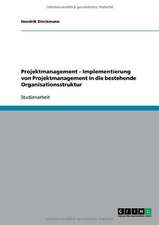 Projektmanagement - Implementierung von Projektmanagement in die bestehende Organisationsstruktur