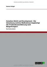 Zwischen Relief und Development - Die Umsetzung welcher Maßnahmen begünstigt die Friedenskonsolidierung nach Bürgerkriegen?