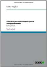 Bedeutung erneuerbarer Energien im Energiemix der BRD