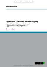 Aggression: Entstehung und Bewältigung