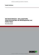 Die Raab-Industrie - Eine empirische Untersuchung über die Wirkungsweise von Stefan Raab