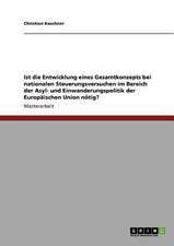 Ist die Entwicklung eines Gesamtkonzepts bei nationalen Steuerungsversuchen im Bereich der Asyl- und Einwanderungspolitik der Europäischen Union nötig?