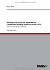 Machbarkeitsstudie für ausgewählte E-Mobility-Konzepte für Deutschland 2020