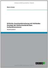 Kritische Auseinandersetzung mit Hofstedes Konzept der Kulturstandards bzw. Kulturdimensionen