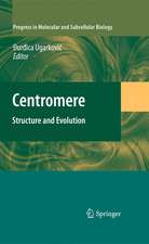 Centromere