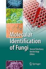 Molecular Identification of Fungi