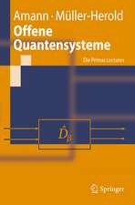 Offene Quantensysteme: Die Primas Lectures