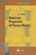 Dielectric Properties of Porous Media