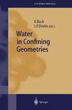 Water in Confining Geometries