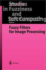 Fuzzy Filters for Image Processing