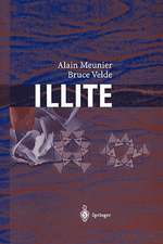 Illite: Origins, Evolution and Metamorphism