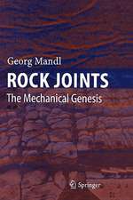 Rock Joints: The Mechanical Genesis