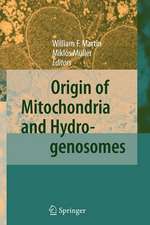 Origin of Mitochondria and Hydrogenosomes