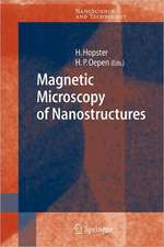 Magnetic Microscopy of Nanostructures