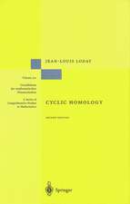 Cyclic Homology