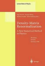 Density-Matrix Renormalization - A New Numerical Method in Physics: Lectures of a Seminar and Workshop held at the Max-Planck-Institut für Physik komplexer Systeme, Dresden, Germany, August 24th to September 18th, 1998