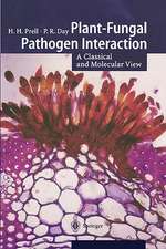 Plant-Fungal Pathogen Interaction: A Classical and Molecular View