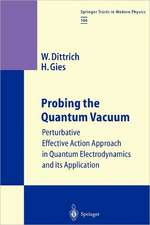 Probing the Quantum Vacuum: Perturbative Effective Action Approach in Quantum Electrodynamics and its Application