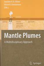 Mantle Plumes: A Multidisciplinary Approach