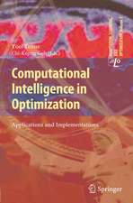 Computational Intelligence in Optimization: Applications and Implementations