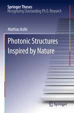 Photonic Structures Inspired by Nature