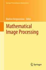 Mathematical Image Processing