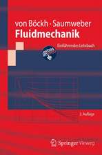 Fluidmechanik: Einführendes Lehrbuch