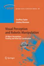 Visual Perception and Robotic Manipulation: 3D Object Recognition, Tracking and Hand-Eye Coordination