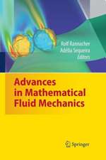 Advances in Mathematical Fluid Mechanics