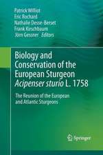 Biology and Conservation of the European Sturgeon Acipenser sturio L. 1758: The Reunion of the European and Atlantic Sturgeons