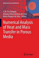 Numerical Analysis of Heat and Mass Transfer in Porous Media