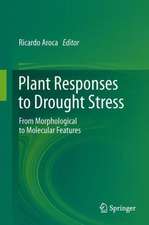 Plant Responses to Drought Stress: From Morphological to Molecular Features