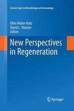 New Perspectives in Regeneration