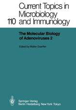 The Molecular Biology of Adenoviruses 2: 30 Years of Adenovirus Research 1953–1983