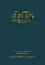 Lymphknoten Diagnostik in Schnitt und Ausstrich: Cytologie und Lymphadenitis