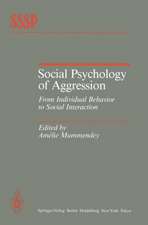 Social Psychology of Aggression: From Individual Behavior to Social Interaction