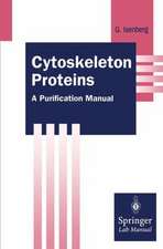 Cytoskeleton Proteins