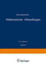 Gesammelte Mathematische Abhandlungen: Erster Band