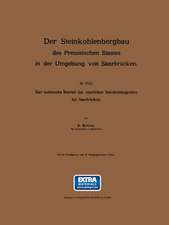 Der Steinkohlenbergbau des Preussischen Staates in der Umgebung von Saarbrücken: III. Teil: Der technische Betrieb der staatlichen Steinkohlengruben bei Saarbrücken