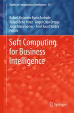 Soft Computing for Business Intelligence