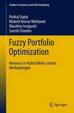 Fuzzy Portfolio Optimization: Advances in Hybrid Multi-criteria Methodologies