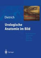 Urologische Anatomie im Bild: von der künstlerisch-anatomischen Abbildung zu den ersten Operationen