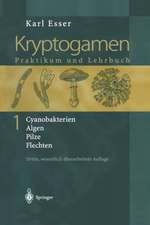 Kryptogamen 1: Cyanobakterien Algen Pilze Flechten Praktikum und Lehrbuch