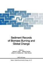 Sediment Records of Biomass Burning and Global Change