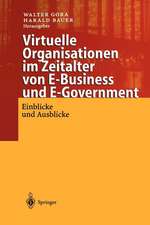 Virtuelle Organisationen im Zeitalter von E-Business und E-Government: Einblicke und Ausblicke